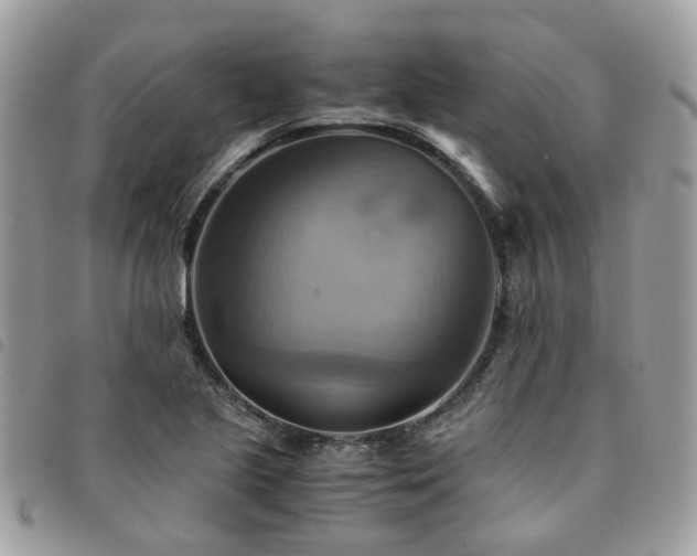 X0000091541221200708171236