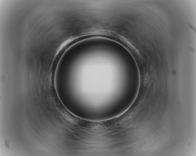 X0000091541222200708171236