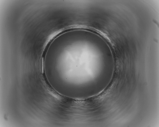 X0000091541223200708171236