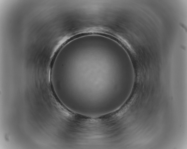 X0000091541224200708171236