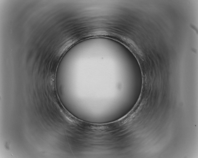X0000091541225200708171236