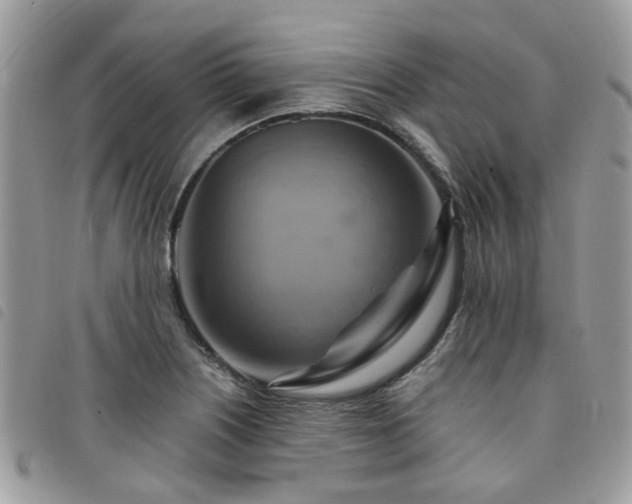 X0000091541226200708171236