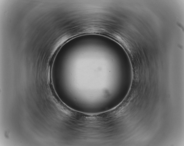 X0000091541227200708171236
