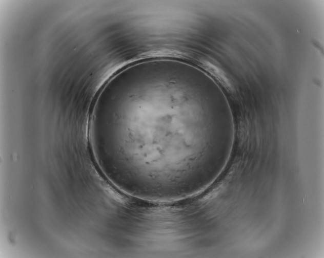X0000091541228200708171236