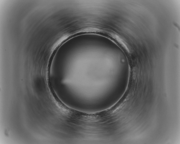 X0000091541229200708171236