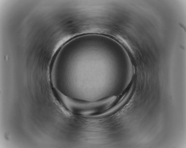 X0000091541230200708171236