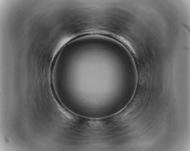 X0000091541231200708171236