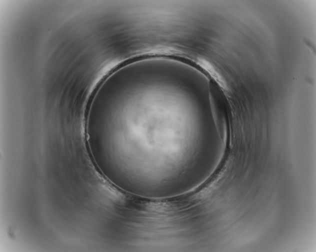 X0000091541232200708171236