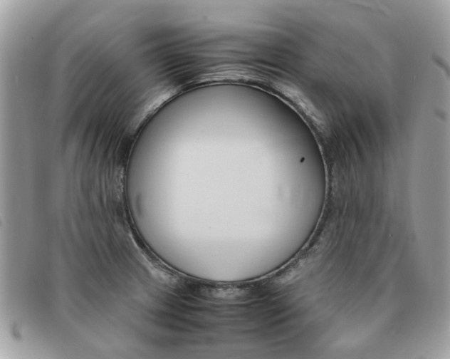 X0000091541233200708171236