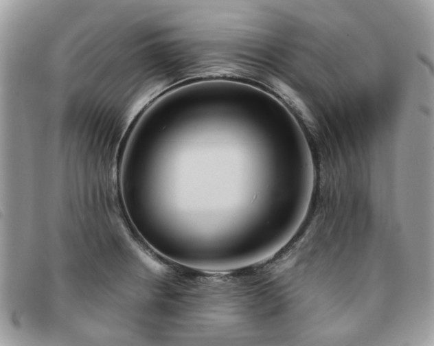X0000091541234200708171237