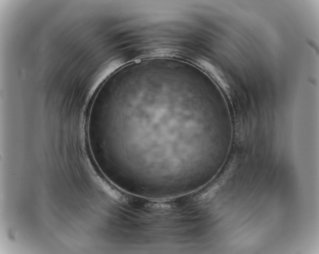 X0000091541235200708171237