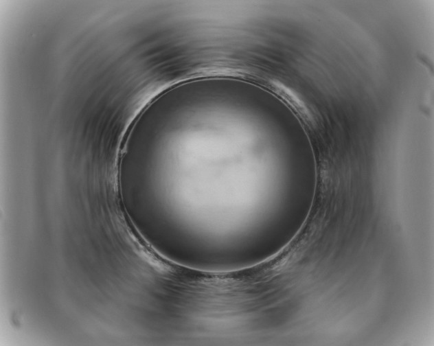 X0000091541236200708171237