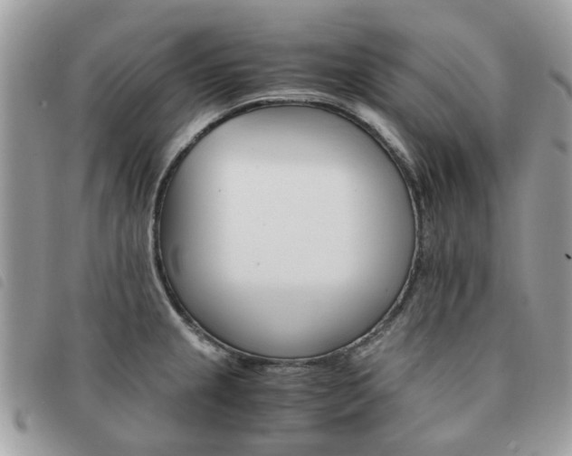 X0000091541237200708171237