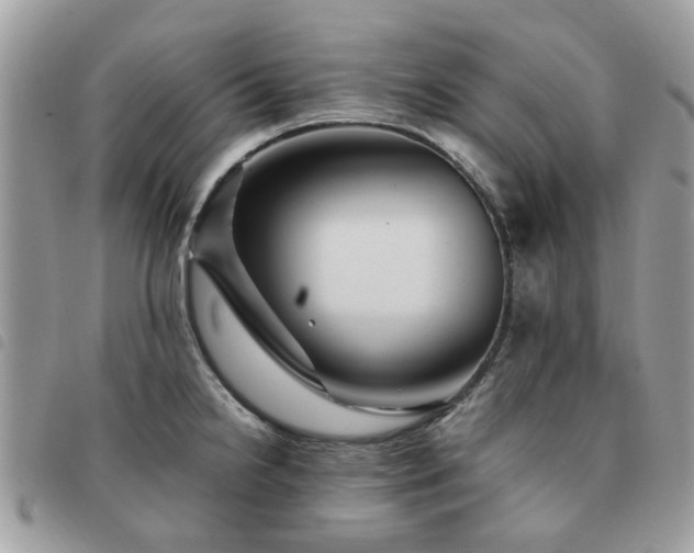 X0000091541238200708171237