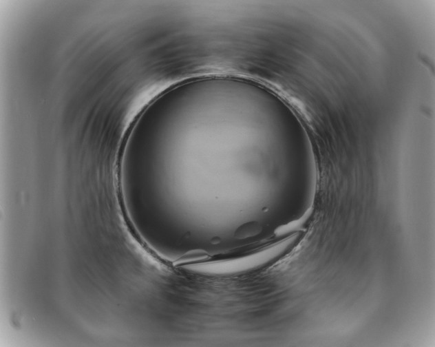 X0000091541239200708171237