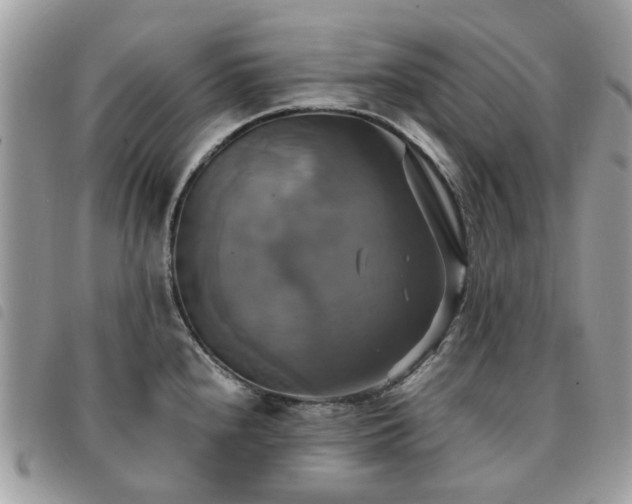X0000091541240200708171237
