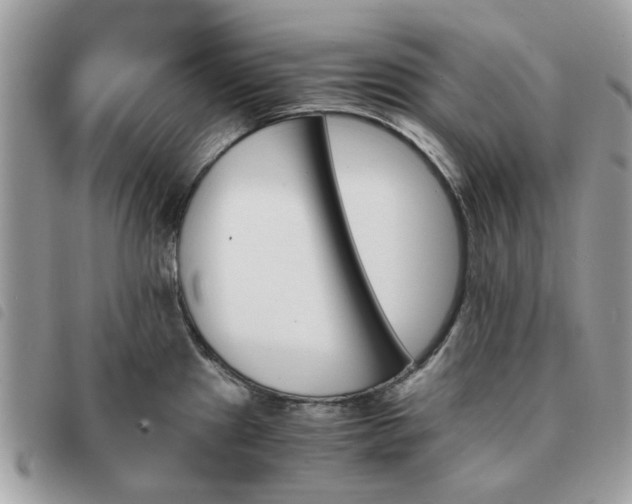 X0000091541241200708171237