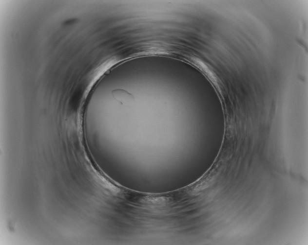 X0000091541243200708171237