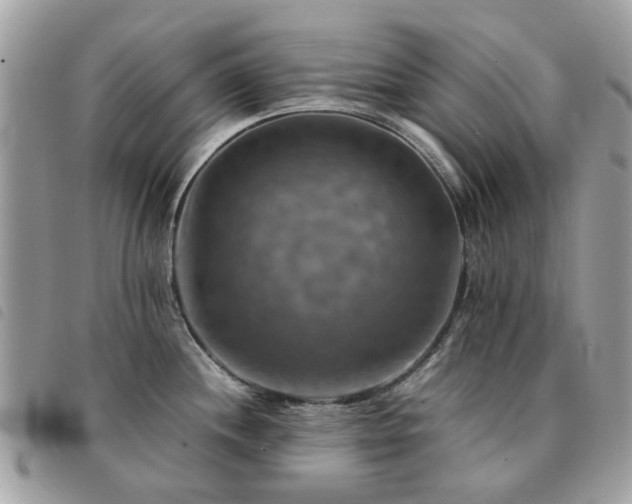 X0000091541244200708171237