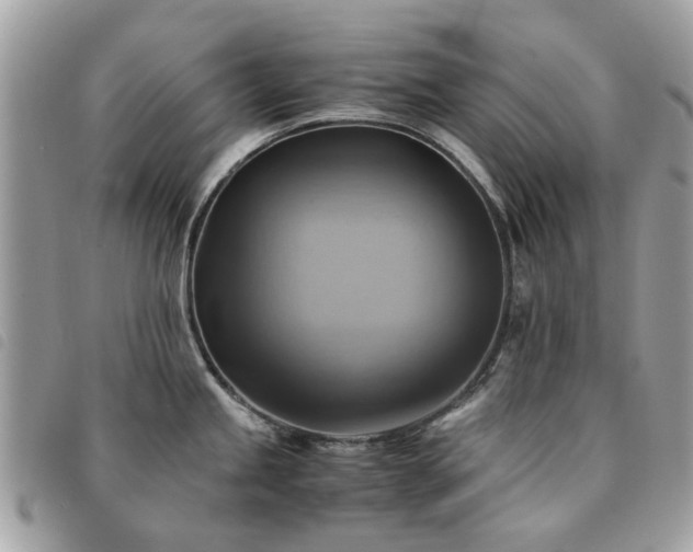 X0000091541245200708171237