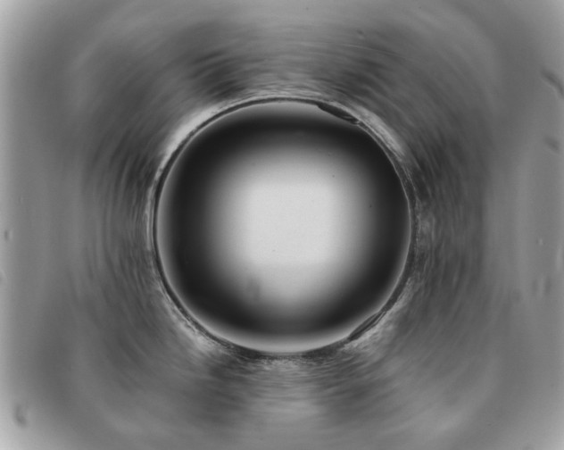 X0000091541246200708171237