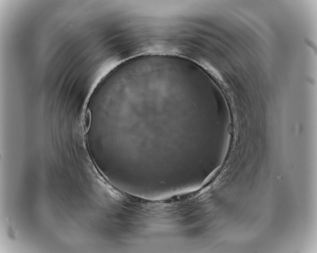X0000091541248200708171237