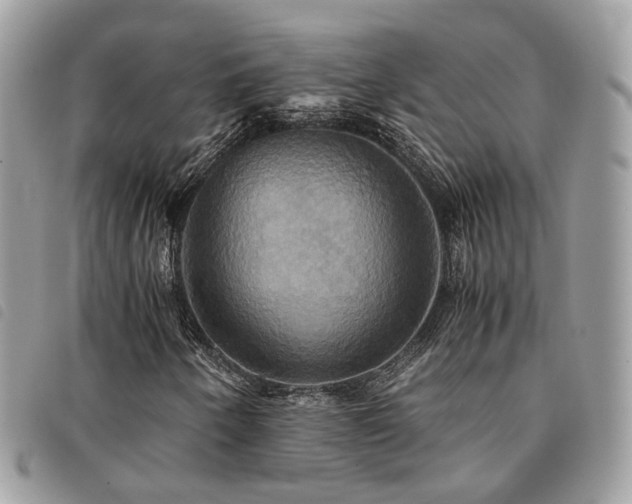 X0000091541250200708171236