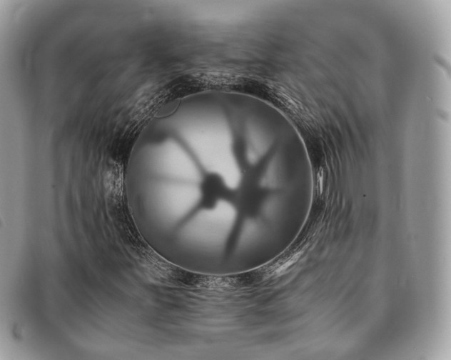 X0000091541251200708171236