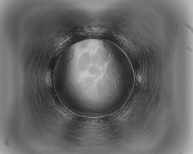 X0000091541252200708171236