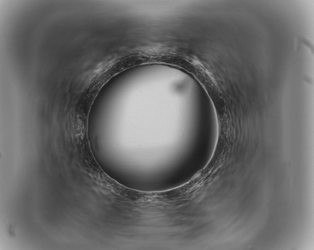 X0000091541253200708171236