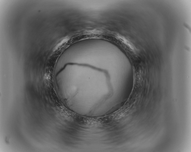 X0000091541254200708171236