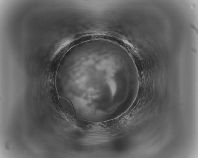 X0000091541255200708171236