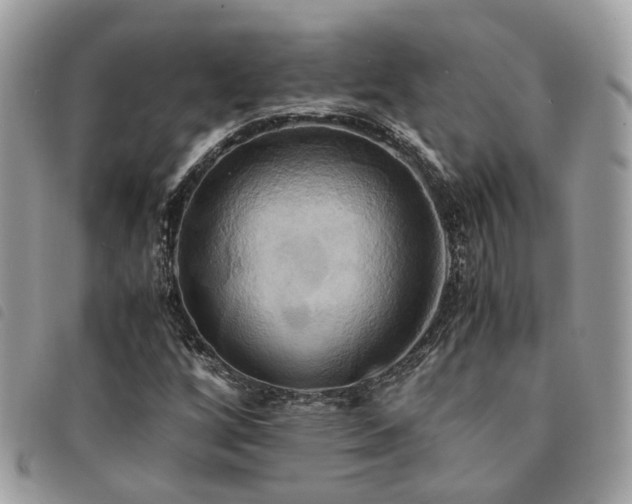 X0000091541256200708171236
