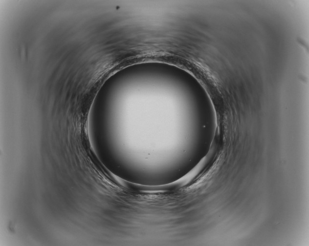 X0000091541257200708171236