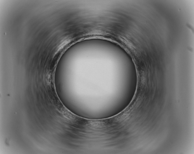 X0000091541258200708171236