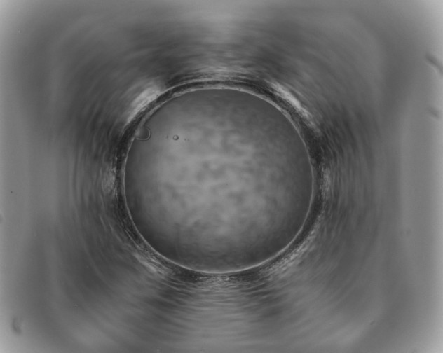 X0000091541259200708171236