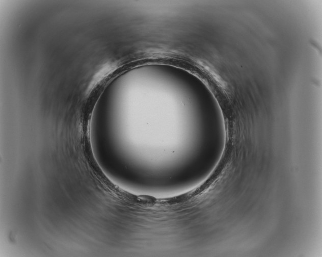 X0000091541261200708171236