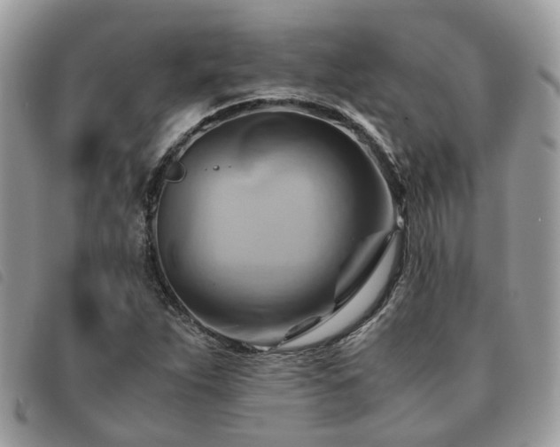 X0000091541263200708171236