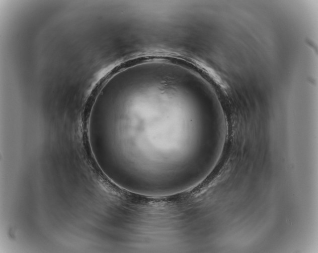 X0000091541264200708171236