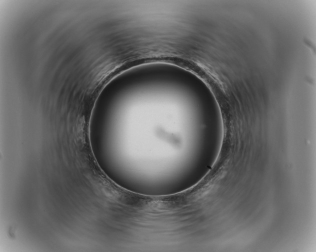 X0000091541265200708171236