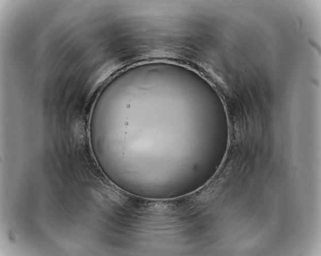 X0000091541266200708171236