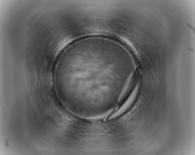 X0000091541267200708171236