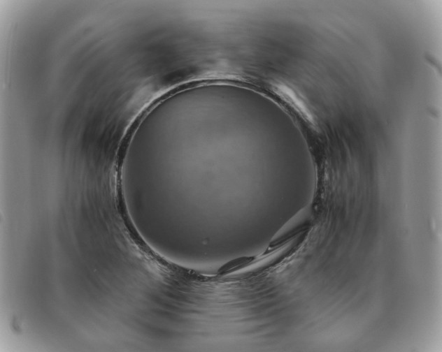 X0000091541268200708171236