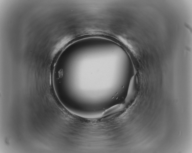 X0000091541269200708171236