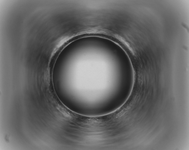 X0000091541270200708171236