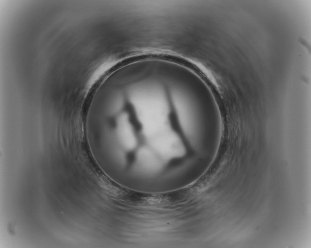 X0000091541271200708171236