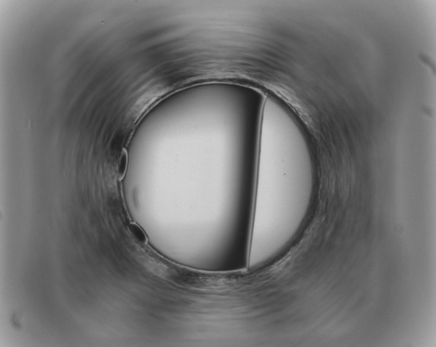 X0000091541273200708171236