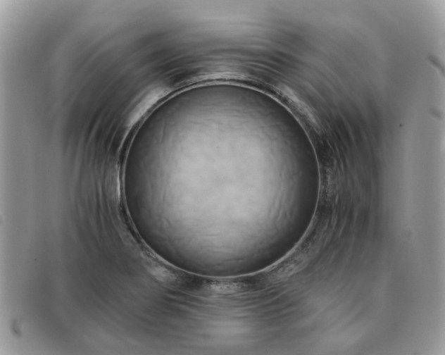 X0000091541274200708171236