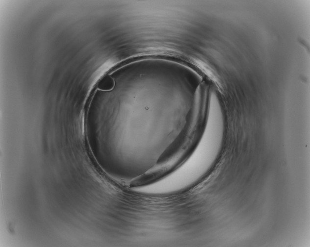 X0000091541275200708171236