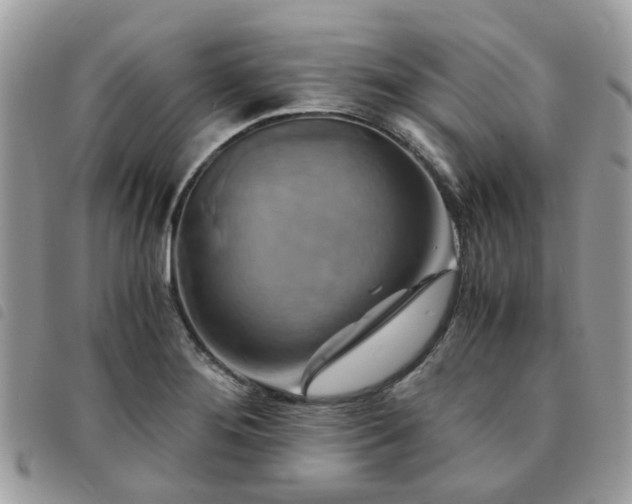 X0000091541276200708171236